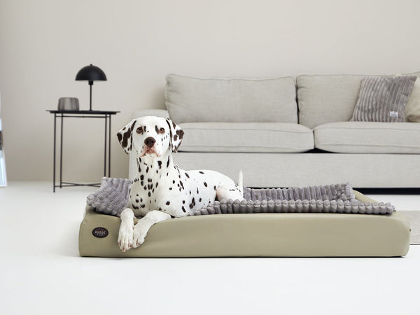 Hundebett KUDDE Terra Kunstleder
