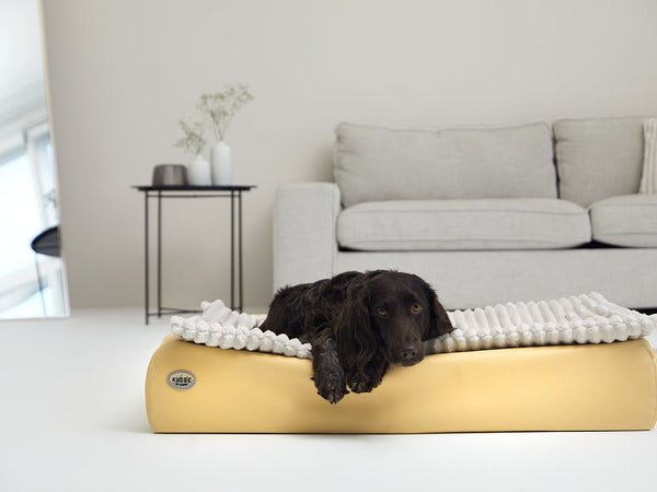 Hundebett KUDDE Terra Kunstleder
