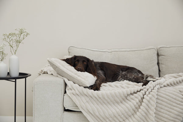 Kuscheldecke VÄRME Breitcord