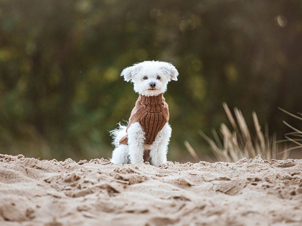 Hundepullover HIMALAYA Wolle