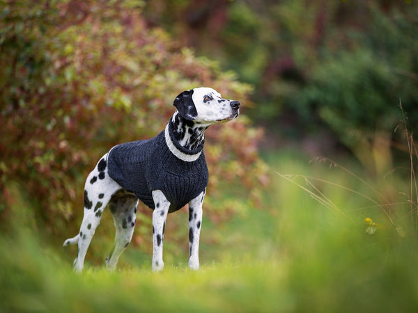 Hundepullover HIMALAYA Wolle