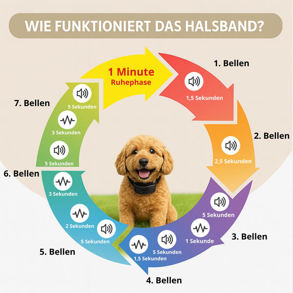 antibellhalsband.bellen.hund