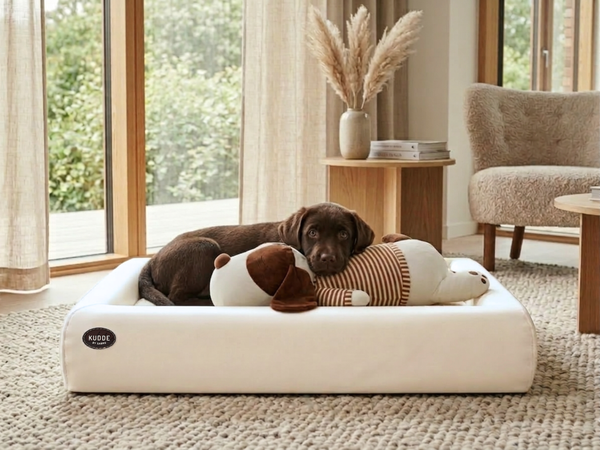 Buddy-Set | KUDDE Hundebett + Ankuschelhund