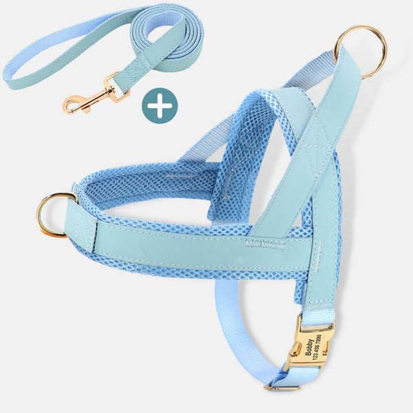 Hundegeschirr mit Leine Design | Farbe himmelblau