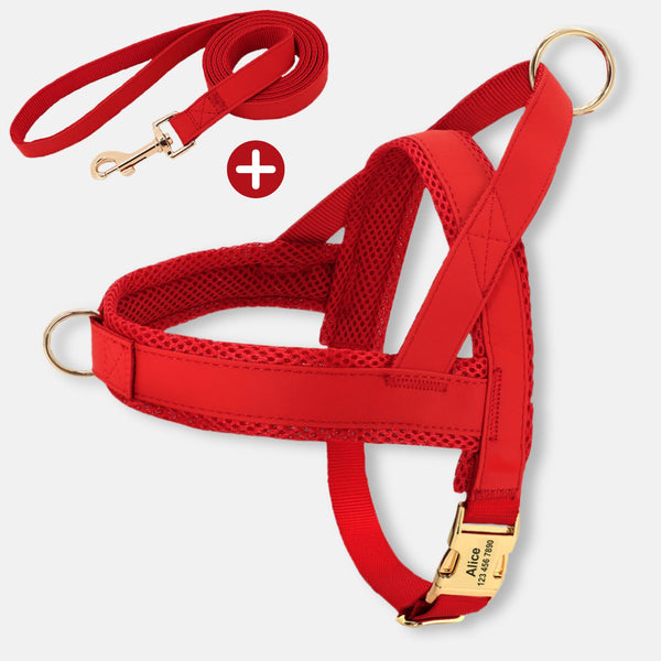 Hundegeschirr mit Leine Design | Farbe rot