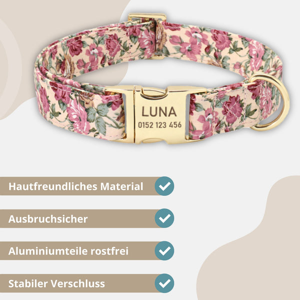 Testsieger Hundehalsbänder