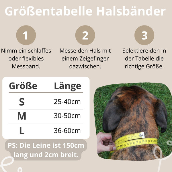 Hundehalsband viele verschiedene Größen - für alle Hunde