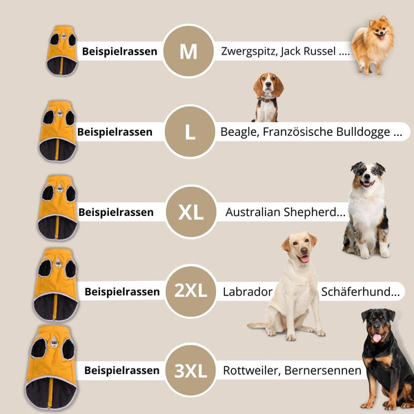 Hundemantel für den Winter