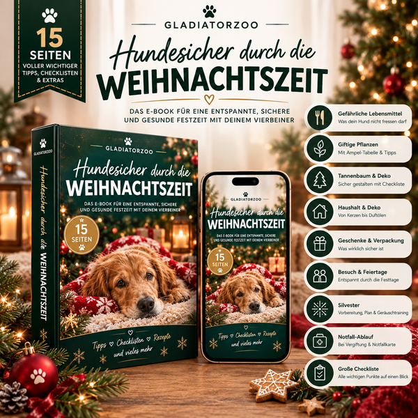 🎁 GRATIS E-BOOK 🎁