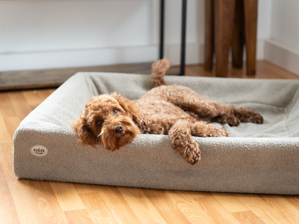 Hundebett KUDDE Bouclé
