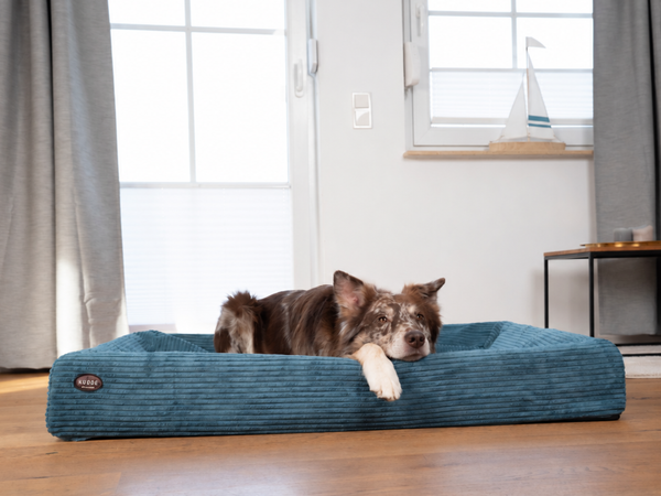 Orthopädisches Hundebett KUDDE Cord