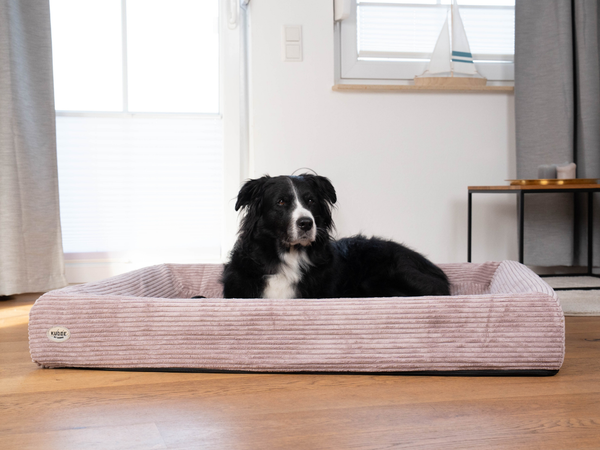 Orthopädisches Hundebett KUDDE Cord