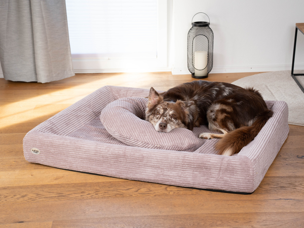 Orthopädisches Hundebett KUDDE Cord