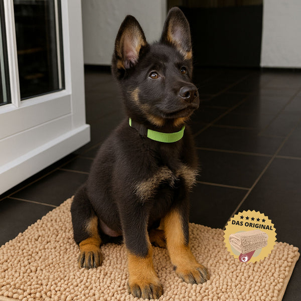 schmutzmatte in beige