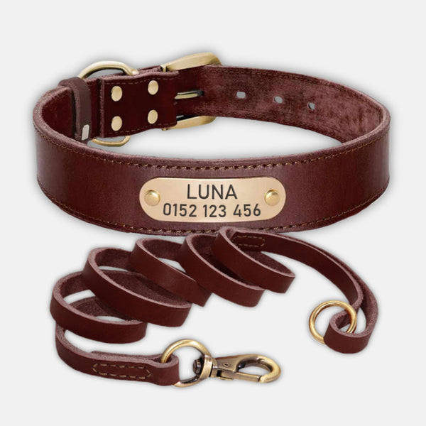 hundehalsband aus leder verschiedene farben braun personalisiert mit leine