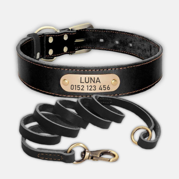 hundehalsband aus leder verschiedene farben braun personalisiert mit leine