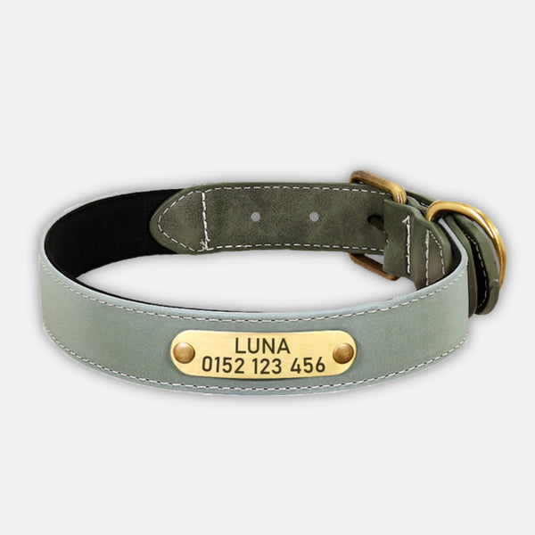 personalisiertes hundehalsband premium aus leder grun