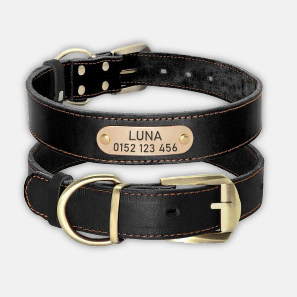 hundehalsband aus leder verschiedene farben braun personalisiert mit leine