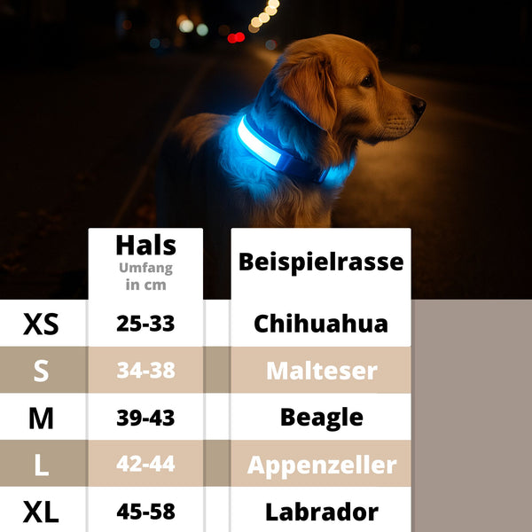 Leuchthalsband - LED Hundehalsband