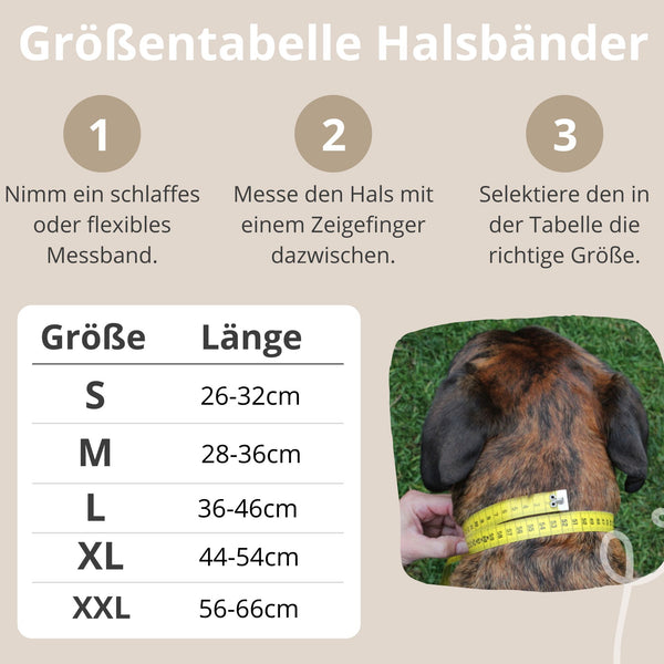 Hundehalsband - GladiatorZoo OXFORD Series - Halsband Leder personalisiert