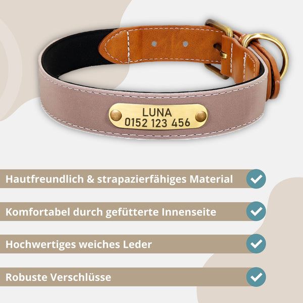 Hundehalsband - GladiatorZoo OXFORD Series - Halsband Leder personalisiert