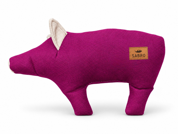 Schwein DÖRTE