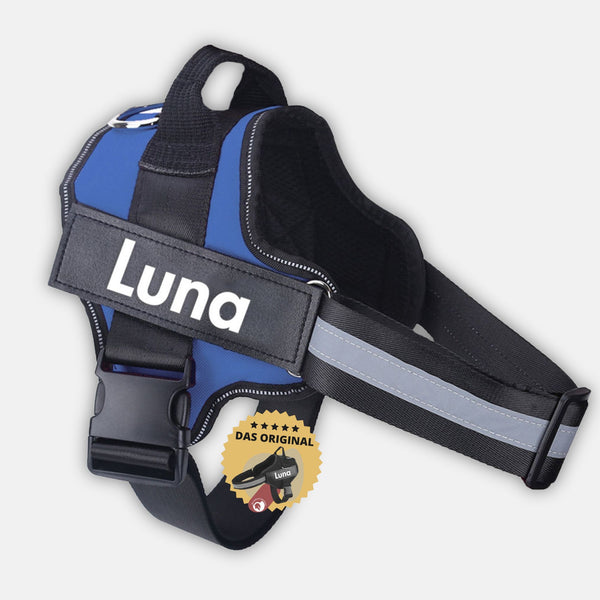 blaues Antizug-Hundegeschirr - Sicherheitsgeschirr für Hunde