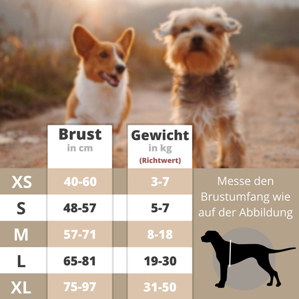 Hundegeschirr mit Leine Design | Richtige Größe