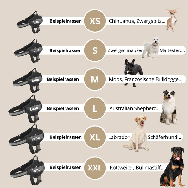 personalisiertes hundegeschirr viele größen und farben