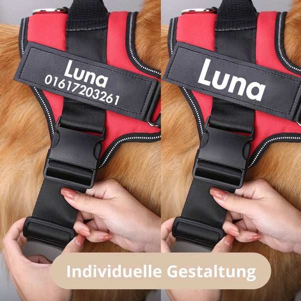 Hundegeschirr mit Namensschild