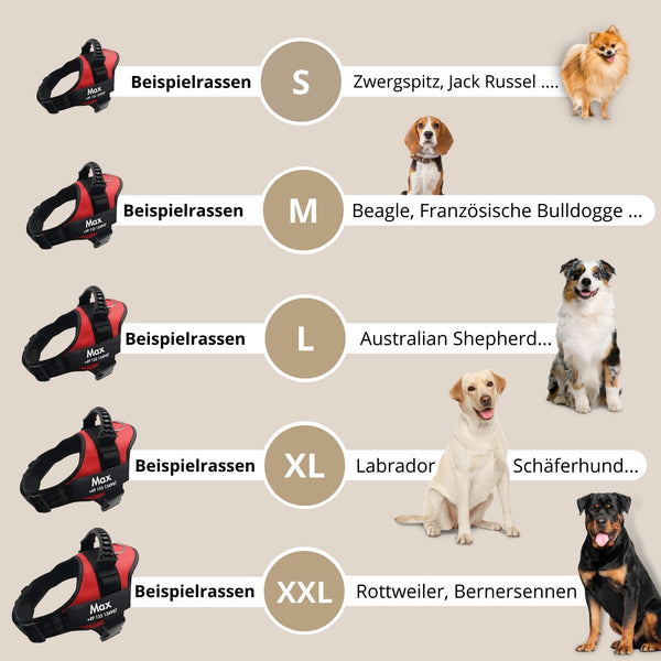 Beispielrassen Hundegeschirr - Original von GladiatorZoo