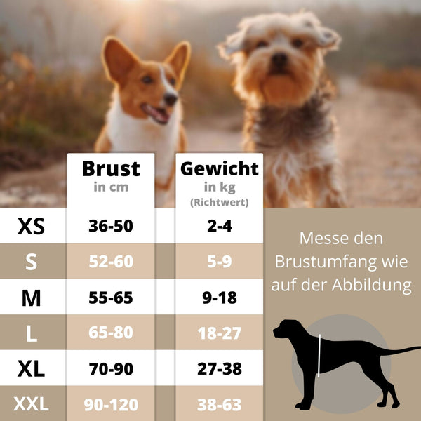 hundegeschirr-anti-zug.für-kleine-und-große-hunde- mit- personalisierung-größentabelle