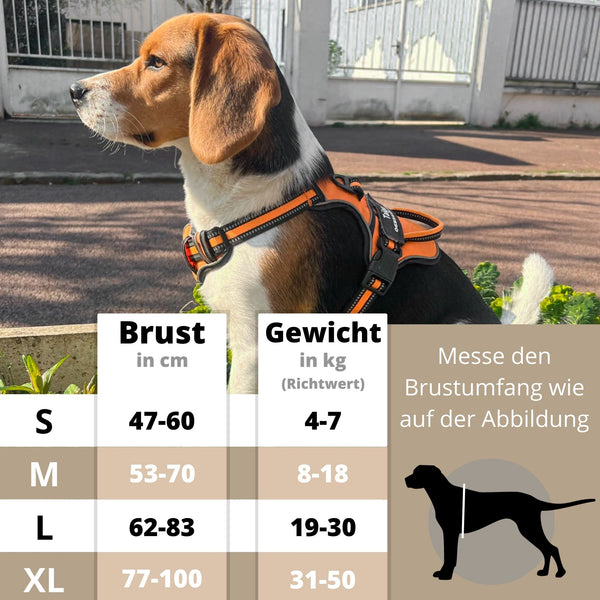 hundegeschirr-anti-zug.für-kleine-und-große-hunde- mit- personalisierung-größentabelle.1
