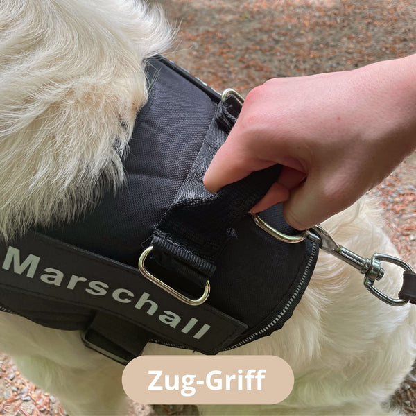 Anti-Zug Hundegeschirr Sicherheitsgeschirr mit Name für kleine und große Hunde