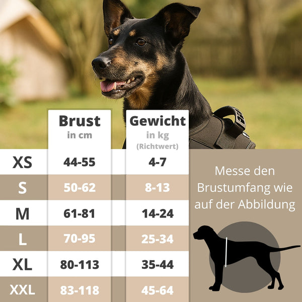 Größentabelle Hundegeschirr - Original von GladiatorZoo