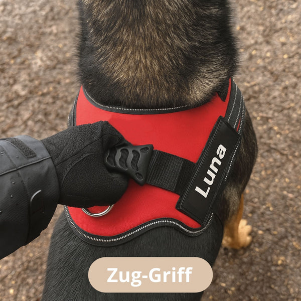 Hundegeschirr mit Zug-Griff