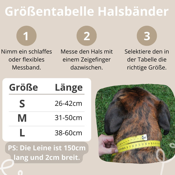 hundehalsband nato band für hunde in rot reflektierend