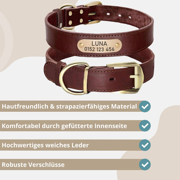 hundehalsband aus leder verschiedene farben braun personalisiert mit leine