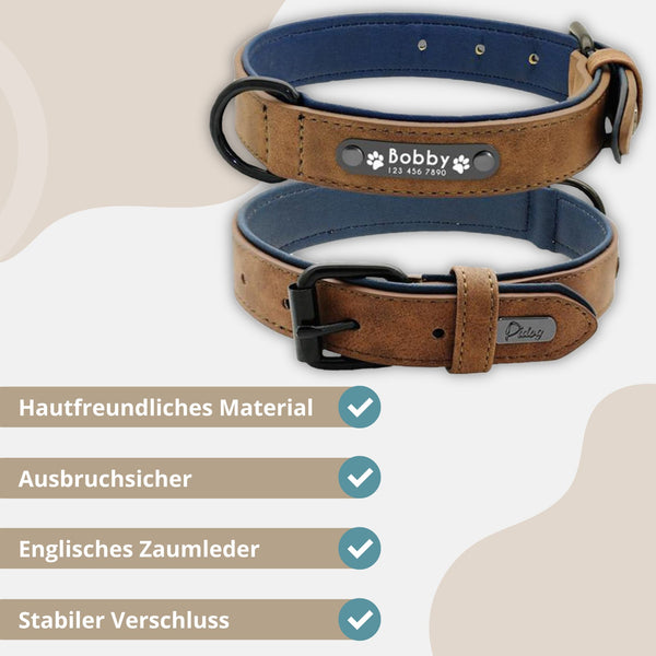 Hundehalsband mit Hundeleine aus Leder mit Namen