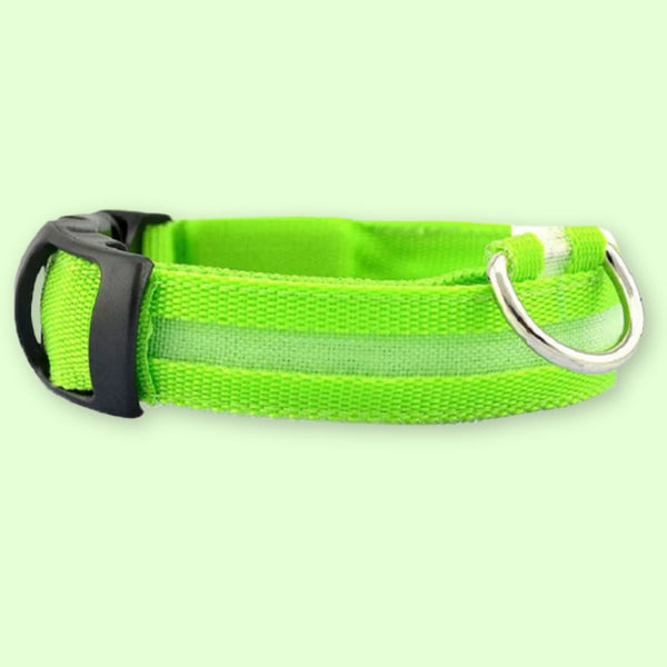 Leuchthalsband - LED Hundehalsband