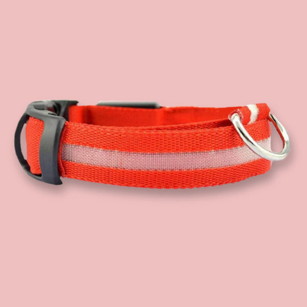 Leuchthalsband - LED Hundehalsband
