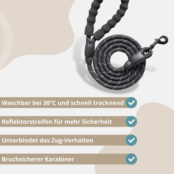 Hundeleine Anti-Zug