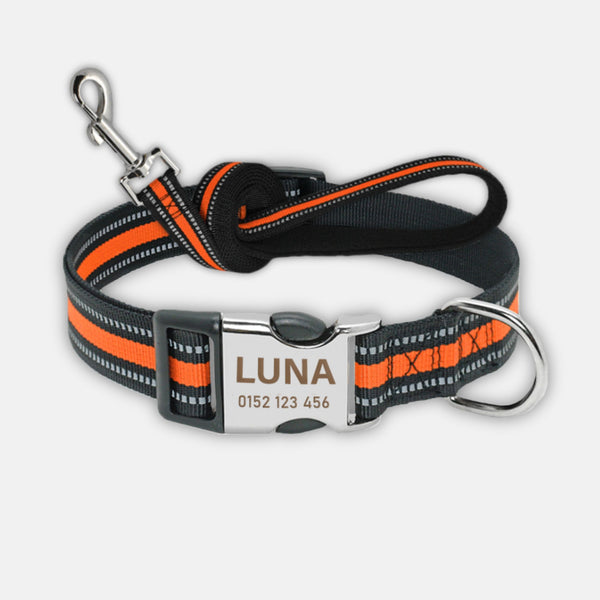 hundehalsband nato band für hunde in orange reflektierend