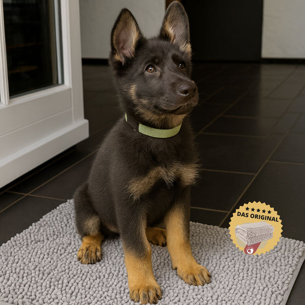 matte für hunde eingangsbereich hellgrau