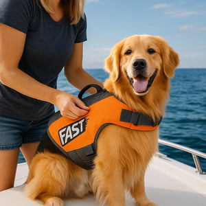 Hund mit Hundeschwimmweste - Farbe Orange