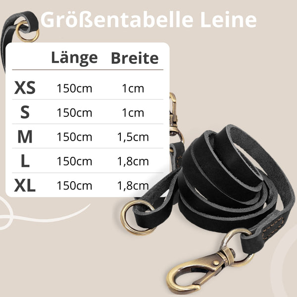 hundehalsband aus leder verschiedene farben braun personalisiert mit leine
