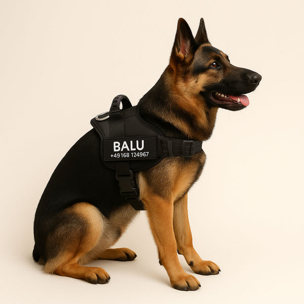 Hundegeschirr - Anti-Zug-Geschirr für Hunde | personalisiert - Sicherheitsgeschirr Premiumqualität