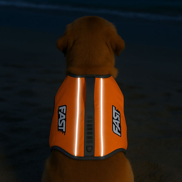 schwimmweste für hunde leuchet im dunkeln