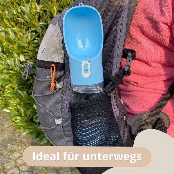 Trinkflasche für Hunde optimal für den Urlaub im Sommer am Pool