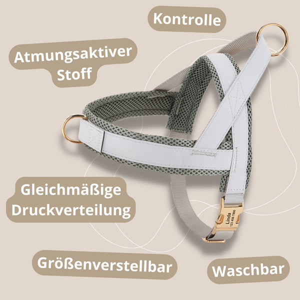 Hundegeschirr mit Leine Design | Farbe hellgrau